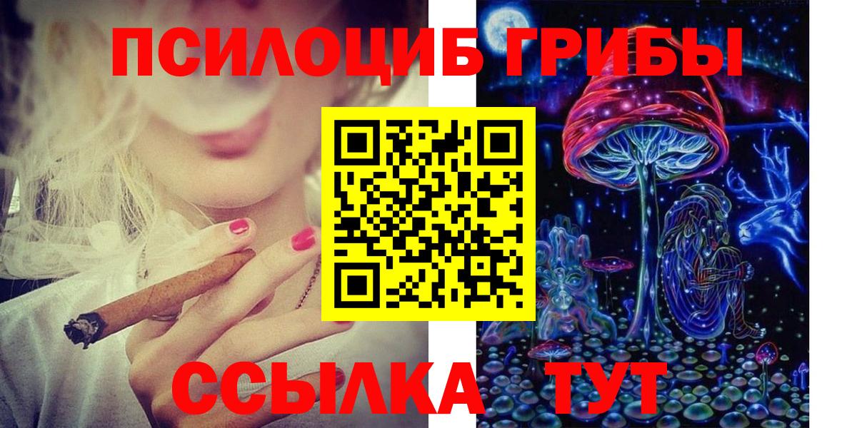 Псилоцибиновые грибы Psilocybine cubensis  Вход с VPN  Аргун  Галлюциногенные грибы Psilocybe 