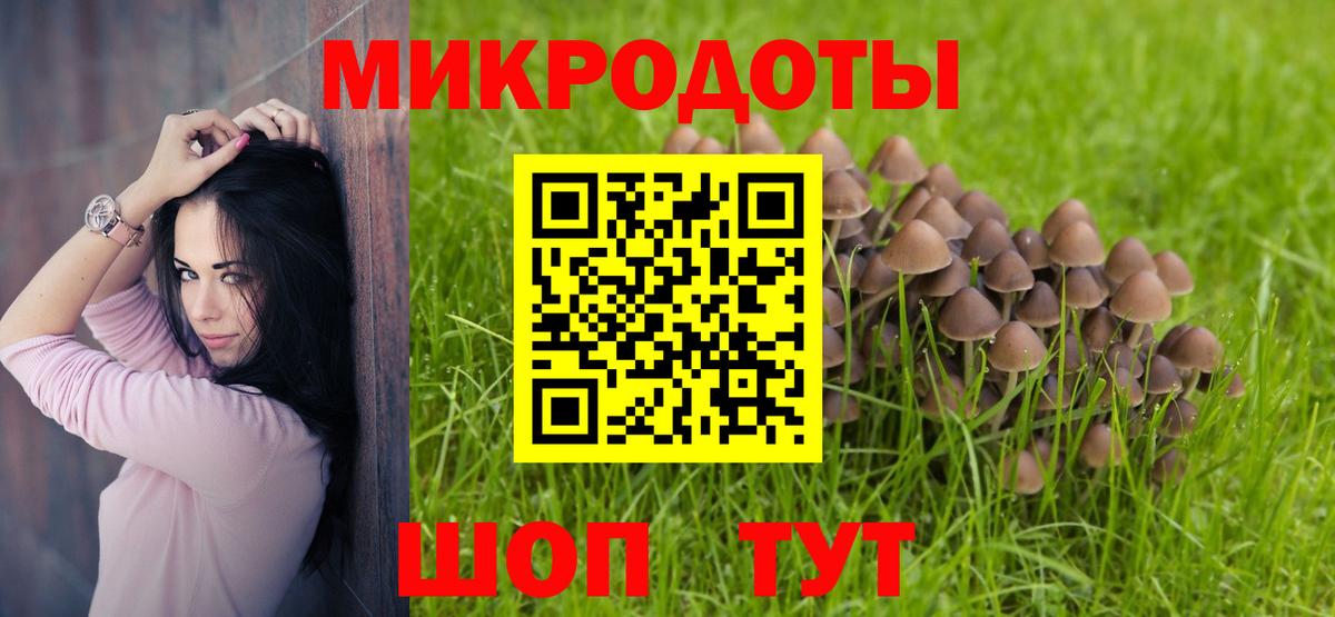 Галлюциногенные грибы прущие грибы Аргун